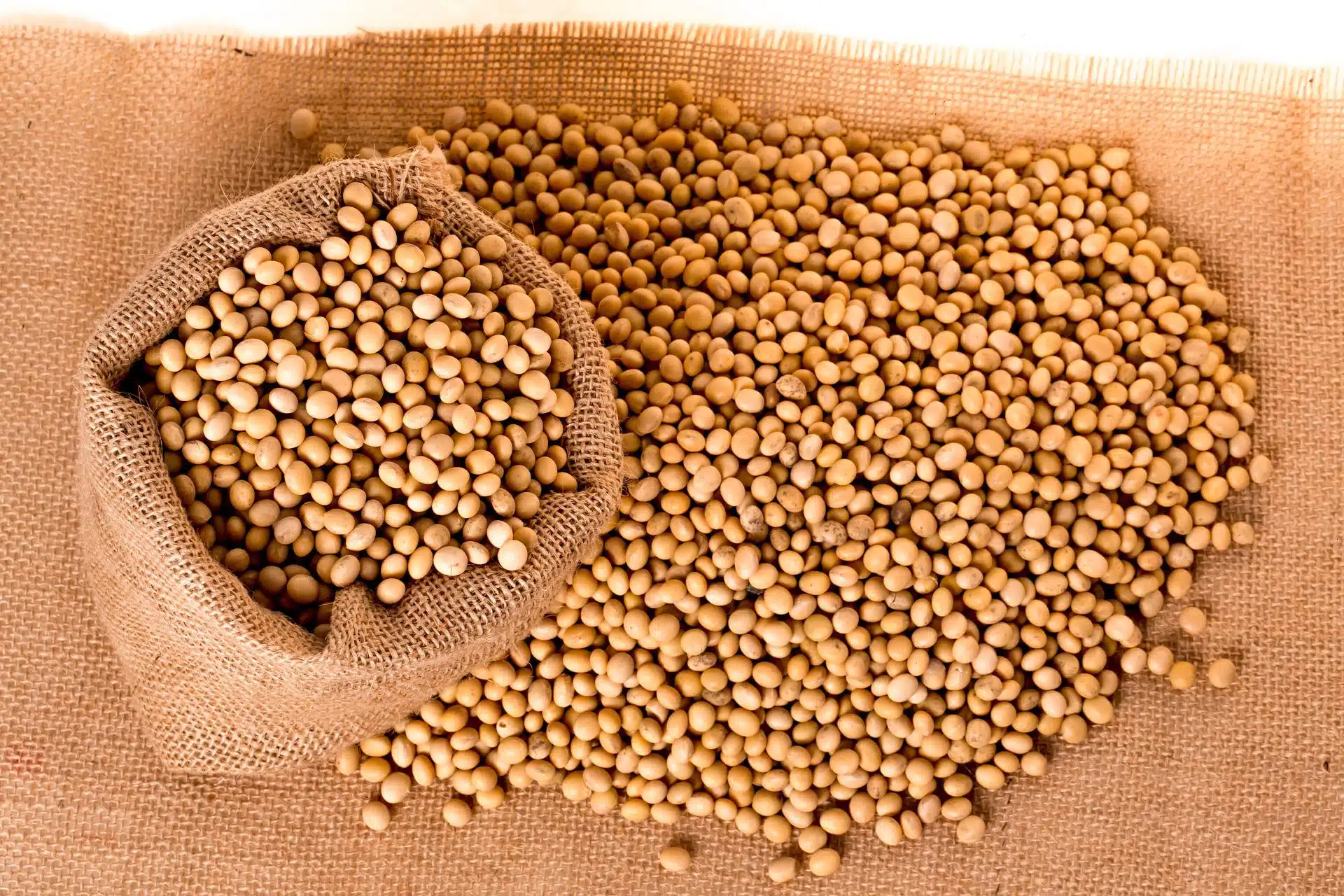 Sójové boby: aktuální cena, historie, použití, graf